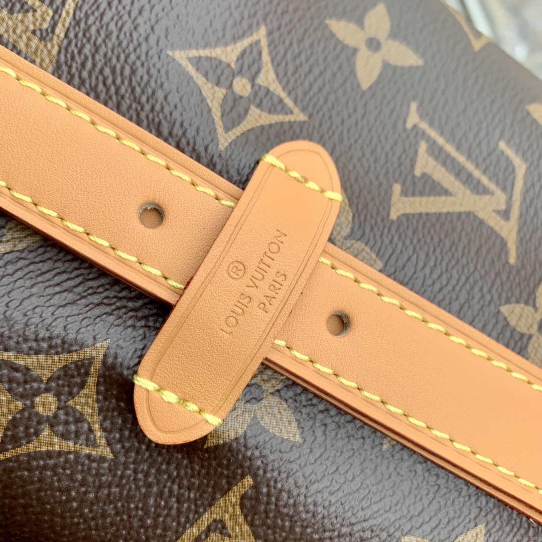 Louis Vuitton LV M46203 Carryall PM Monogram