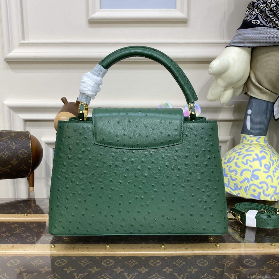 LV N93075 Louis Vuitton Capucines MM Handbag Mint Green