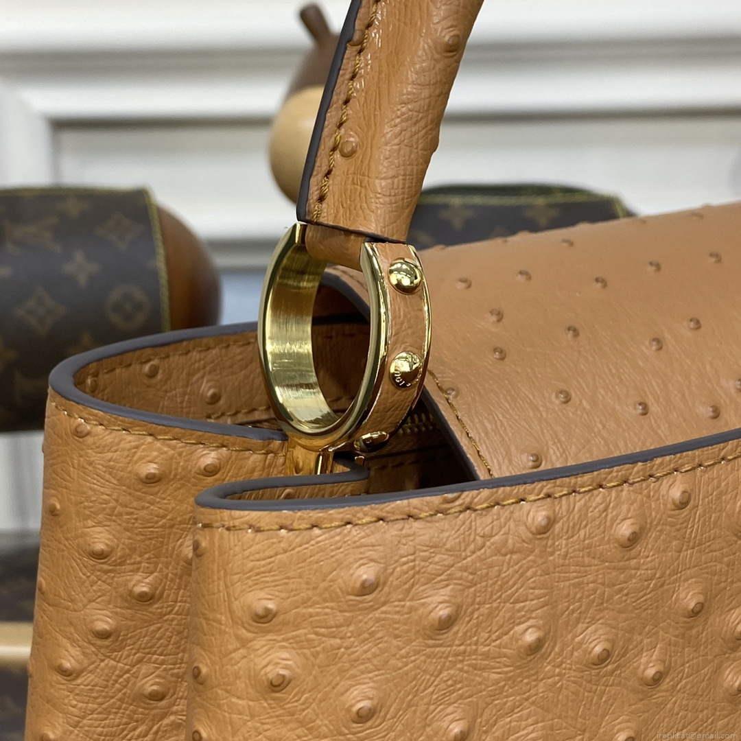 LV N81279 Louis Vuitton Capucines MM Handbag Brown