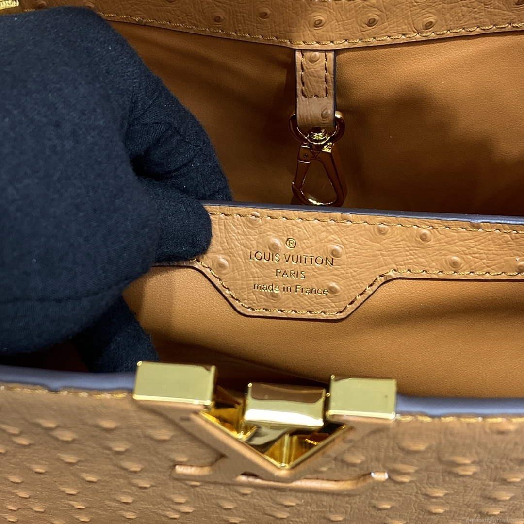 LV N81279 Louis Vuitton Capucines MM Handbag Brown