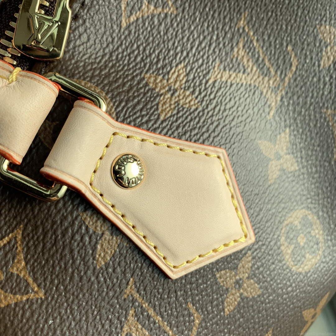 LV M46234 Louis Vuitton Speedy Bandoulière 20 Black