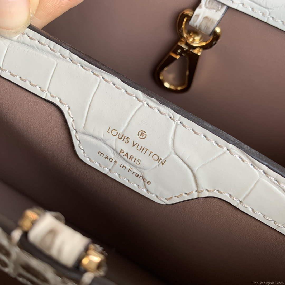LV M48865 Louis Vuitton Capucines BB Handbag Himalayas