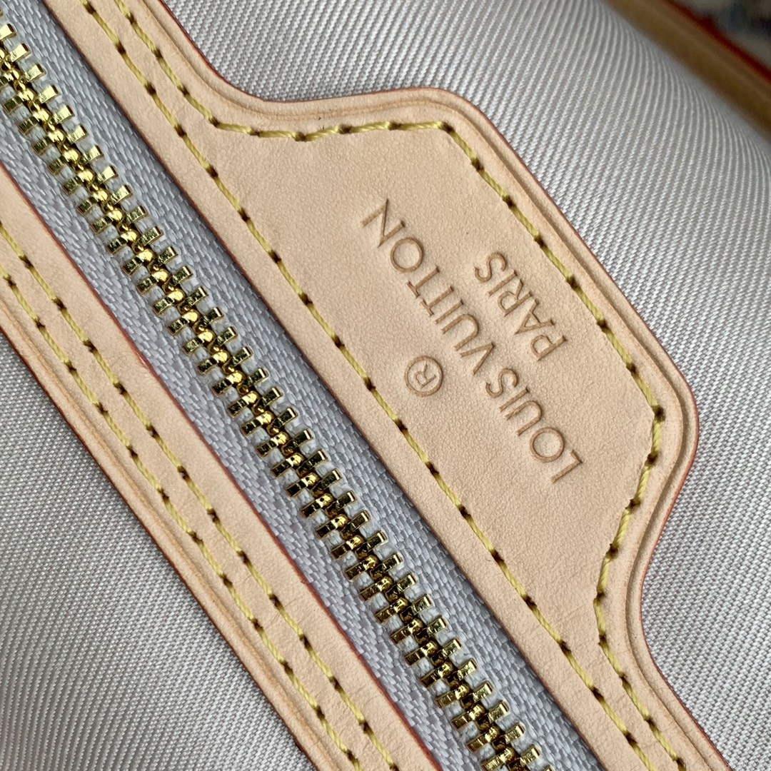 LV M24905 Louis Vuitton Neverfull MM Bag Multicolor Beige
