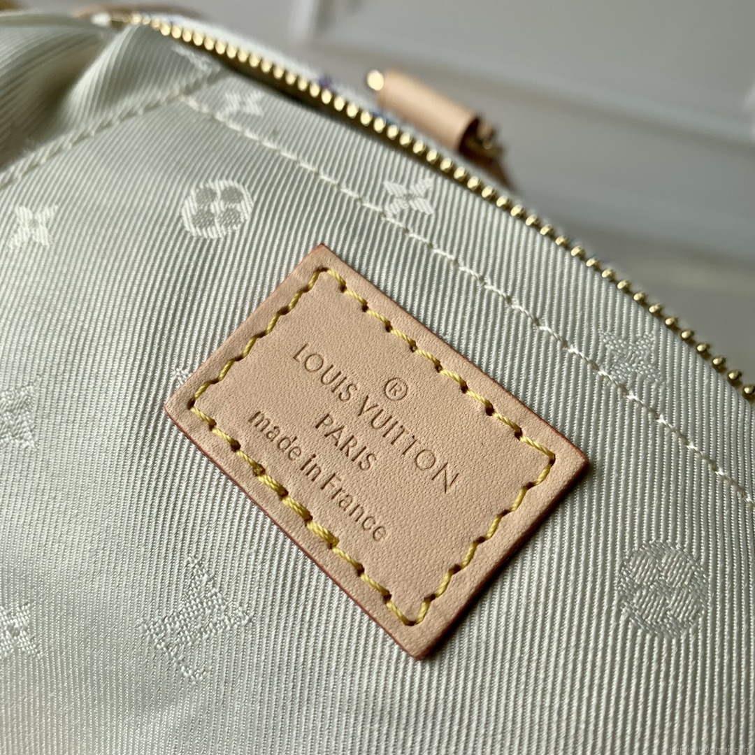 LV M24709 Louis Vuitton Speedy Bandoulière 20 Handbag Multicolor Beige
