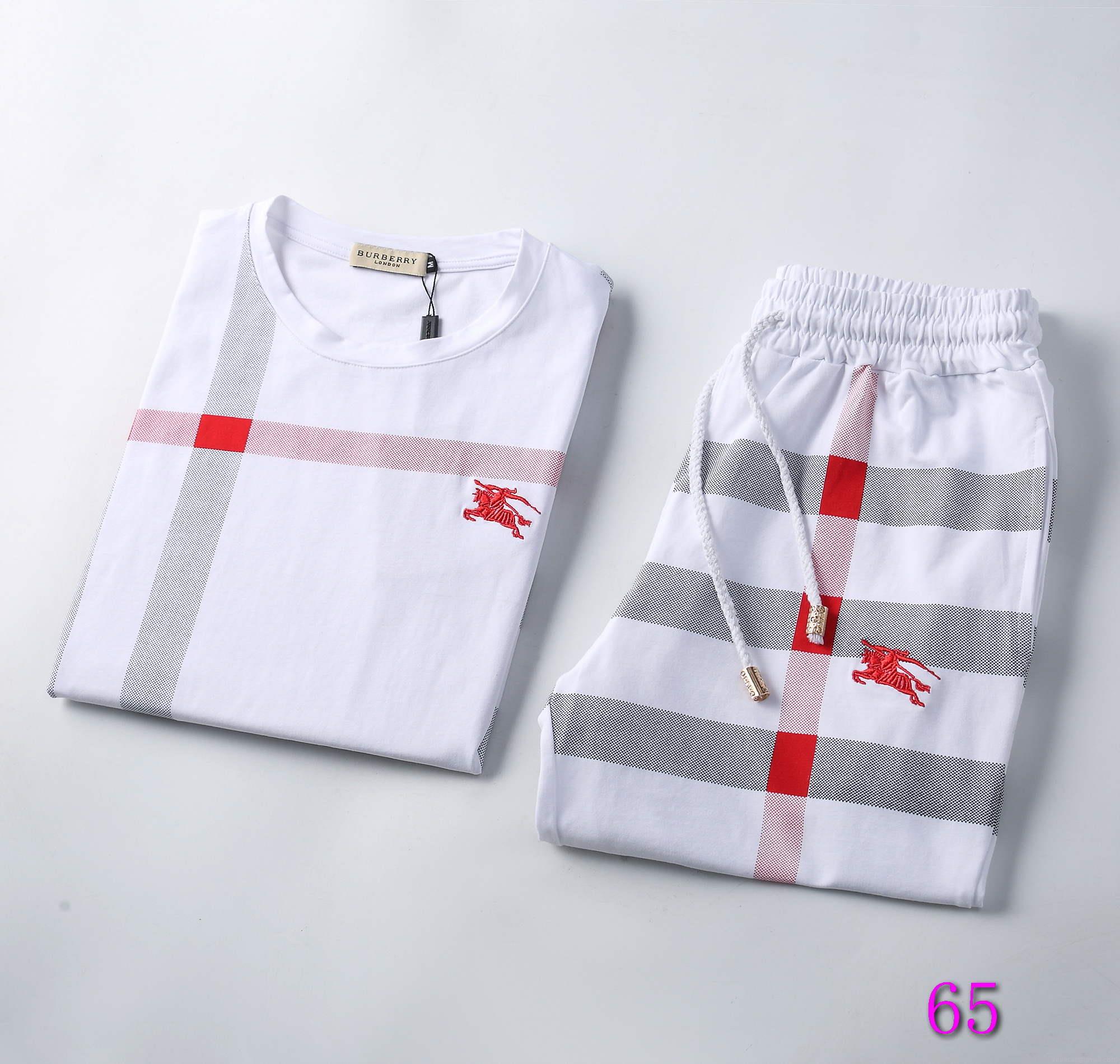 Burberry Men Tracksuit Suit Wholesale Clothing B56528