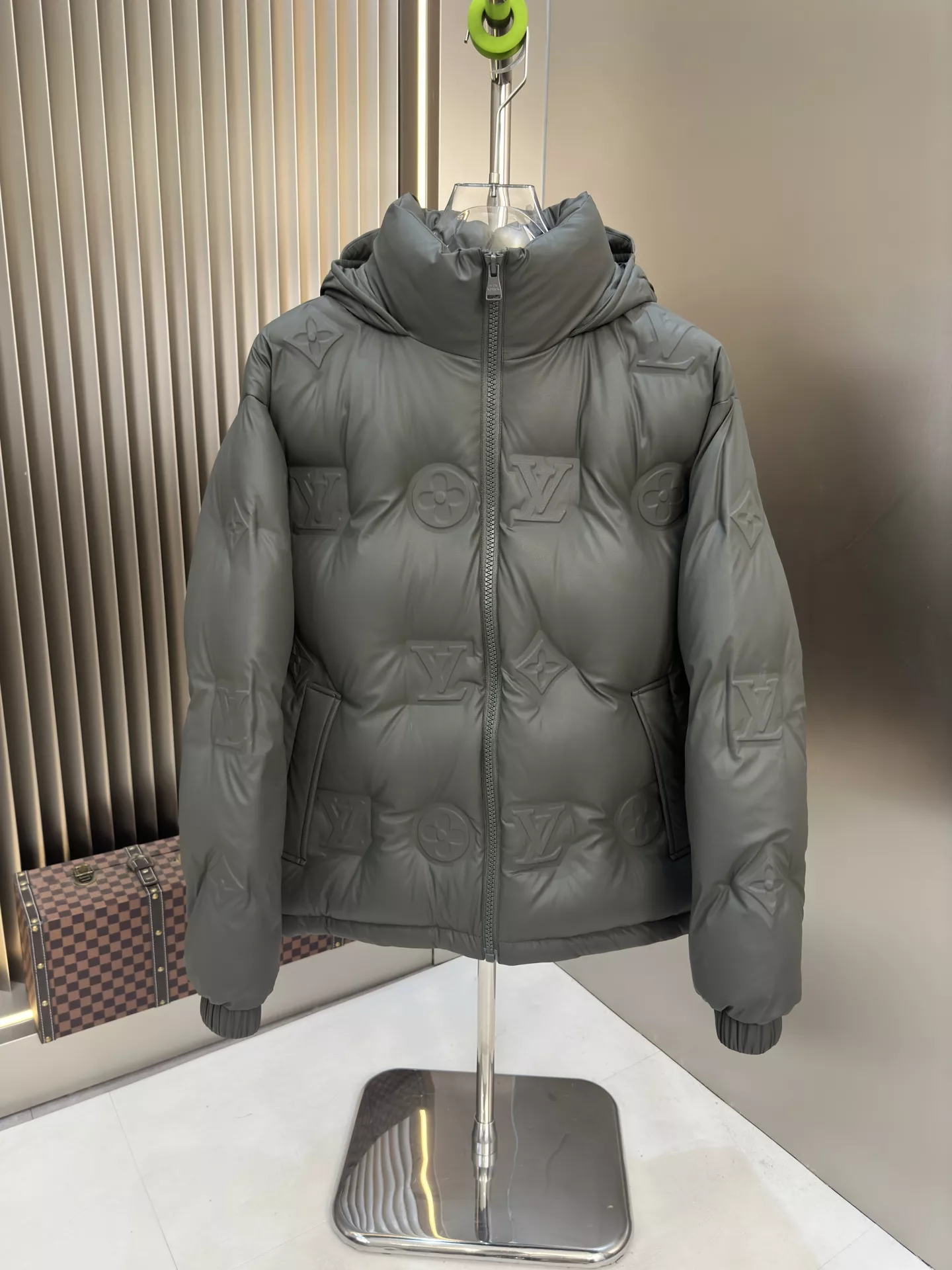 Louis Vuitton Clothing Man Down Feather Coat Long Sleeved 659590