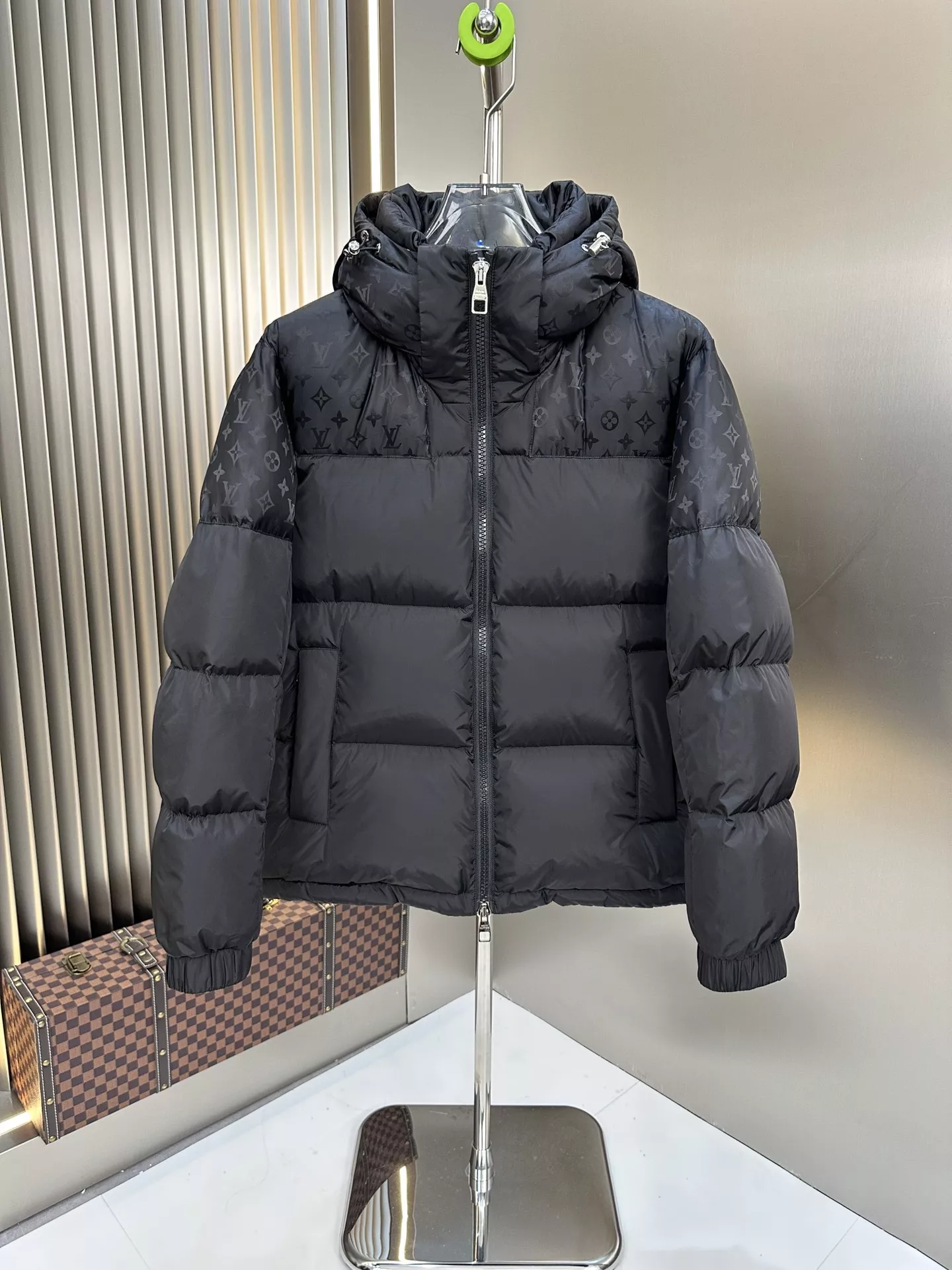 Louis Vuitton Mens Down Feather Coat Long Sleeved 259616