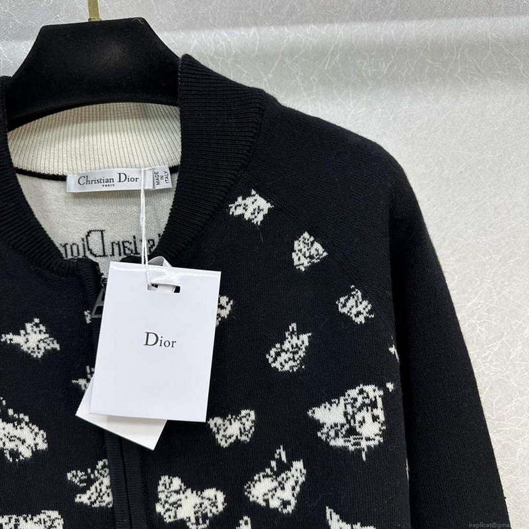 Dior Women’s Fashion Clothing Sweater D38584