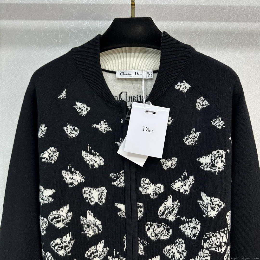 Dior Women’s Fashion Clothing Sweater D38584
