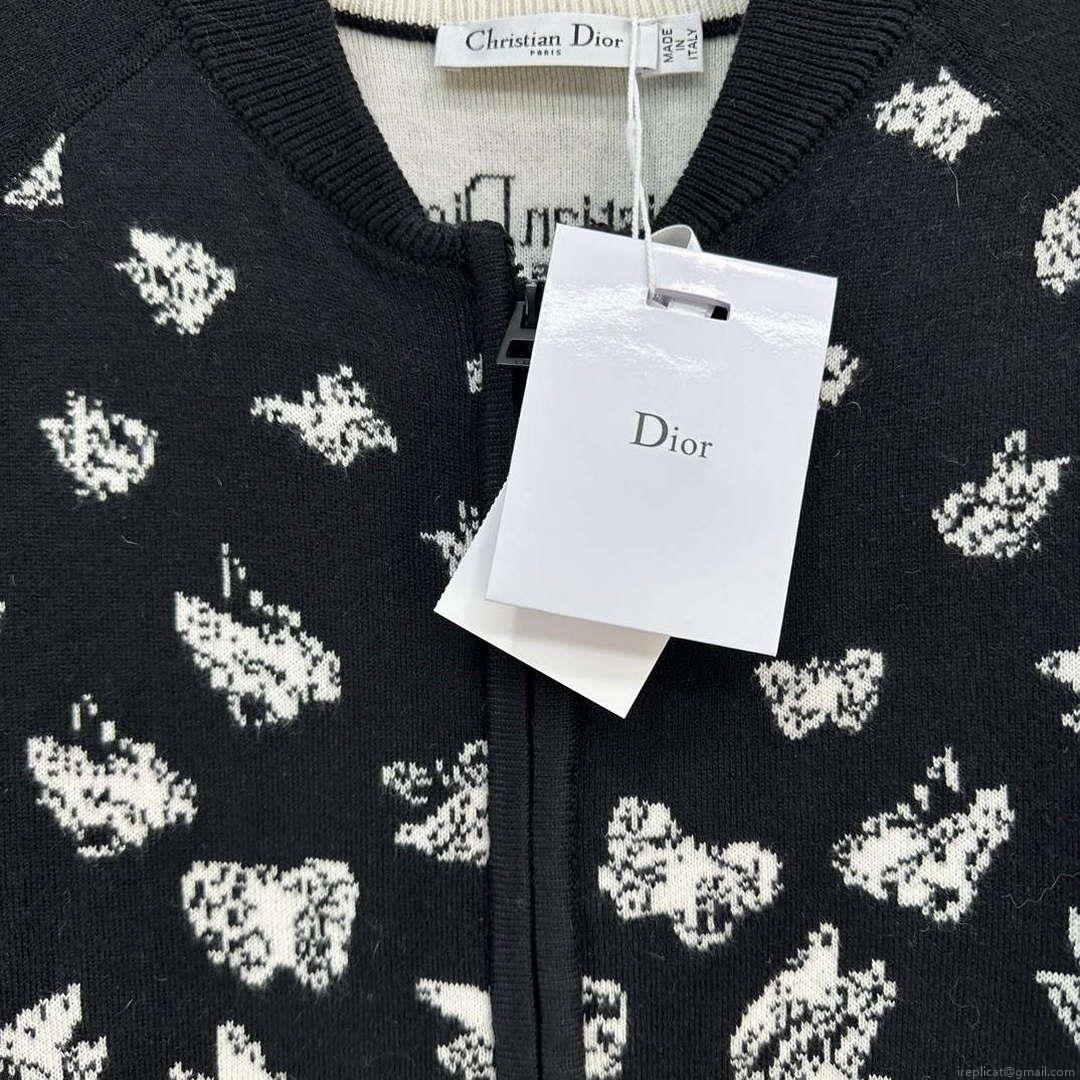 Dior Women’s Fashion Clothing Sweater D38584