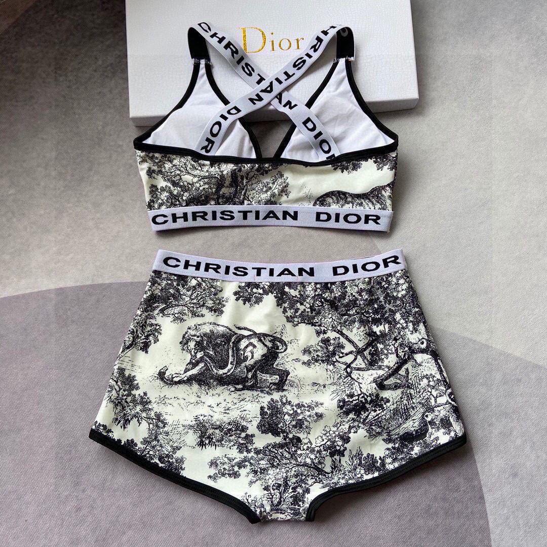 Dior Women’s Designer monogram animal icon Gray swimsuit swimming suit 38098