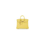 Hermes Birkin 25 Bag(Tax-Free GRADE)