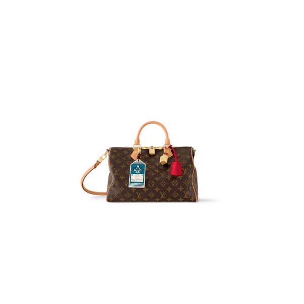 LV Speedy Soft 30 Crafty