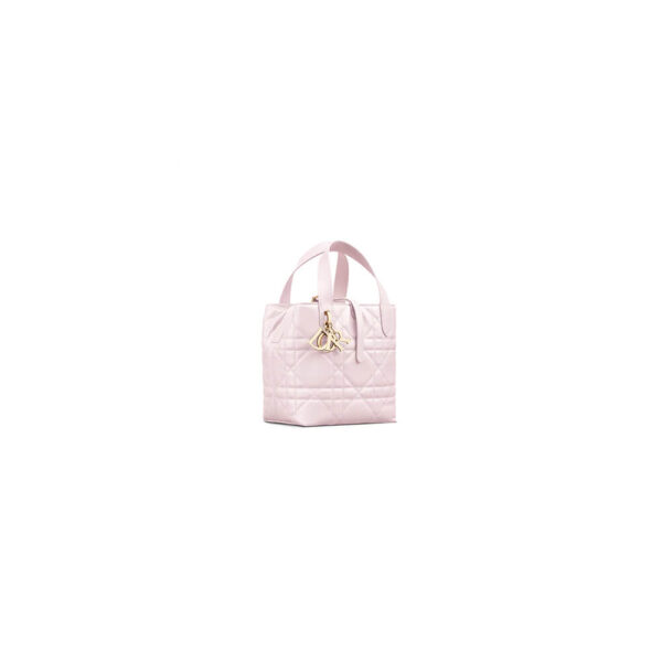 Small Dior Toujours Vertical Tote Bag(high-end grade)