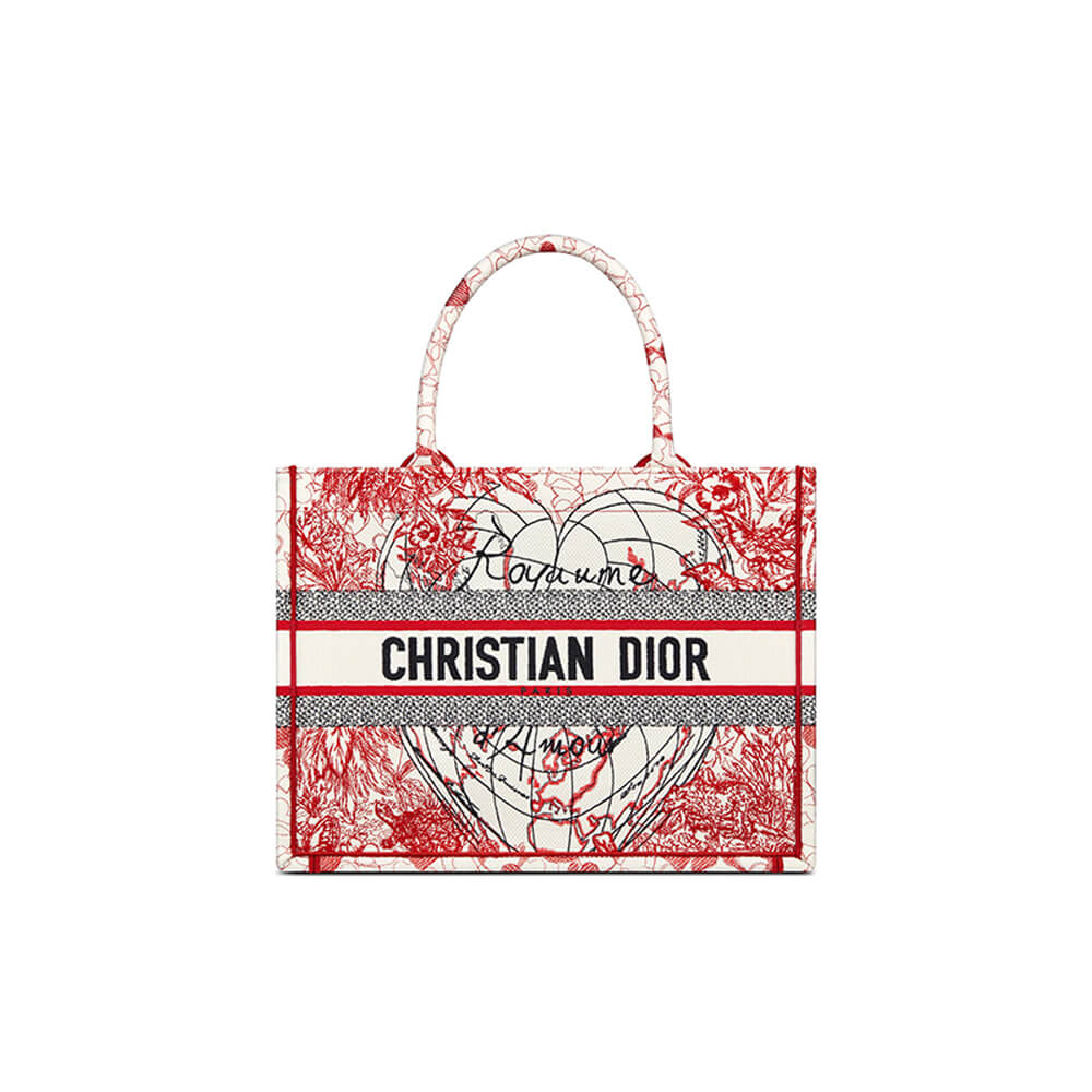 1-734.jpg SMALL DIOR BOOK TOTE - Image 1