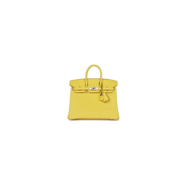 HERMES BIRKIN BAG 25