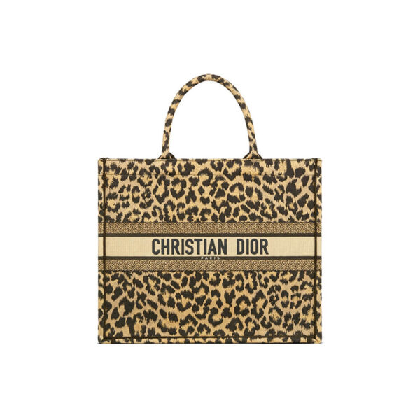 SMALL DIOR BOOK TOTE