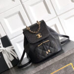 Chanel Large Duma Backpack(HIGH-END GRADE) - Image 2