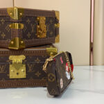 LV Mini Pochette Accessoires - Image 3