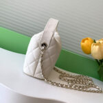 CHANEL Classic Chain Hobo(High-end Grade) - Image 3