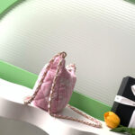 Chanel Coco Beach Large Hobo Bag(high-end grade) - Image 3