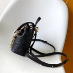 LV Coussin Backpack Mini - Image 3
