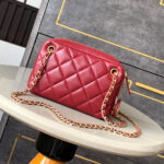 CHANEL Mini Camera Case - Image 4