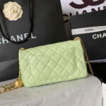 Chanel Pearl Crush Mini Rectangular Flap(HIGH-END GRADE) - Image 4