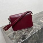 Celine TEEN TRIOMPHE BAG IN shiny calfskin(HIGH-END GRADE) - Image 4