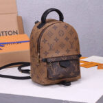 LV Palm Springs Mini Backpack - Image 4