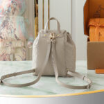 LV Coussin Backpack PM(HIGH-END GRADE) - Image 4