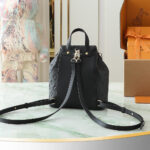 LV Coussin Backpack PM(HIGH-END GRADE) - Image 4