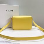 Celine TEEN TRIOMPHE BAG IN shiny calfskin(HIGH-END GRADE) - Image 4