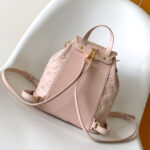 LV Coussin Backpack PM - Image 4