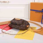 LV Mini Bumbag - Image 5