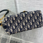 Diorstar Hobo Bag with Chain - Image 5