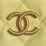 CHANEL Classic Hobo with Chain(High-end Grade) - Image 5