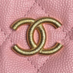 CHANEL Classic Hobo with Chain(High-end Grade) - Image 5