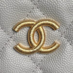 CHANEL Classic Hobo with Chain(High-end Grade) - Image 5
