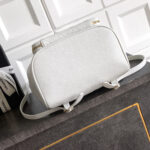 Chanel Large Duma Backpack(HIGH-END GRADE) - Image 5