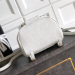 Chanel Large Duma Backpack(HIGH-END GRADE) - Image 5