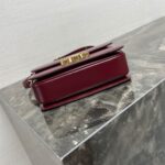 Celine TEEN TRIOMPHE BAG IN shiny calfskin(HIGH-END GRADE) - Image 5