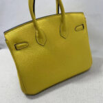Hermes Birkin 25 Bag(Tax-Free GRADE) - Image 4