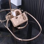 Dior Lady D-Joy Micro Bag(HIGH-END GRADE) - Image 5
