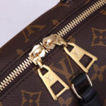 LV Petite Malle Souple Handbag - Image 5