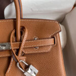 HERMES BIRKIN BAG 25 - Image 6