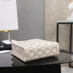 CELINE Mini Vertical Cabas IN Triomphe Canvas with Celine print - Image 5