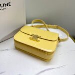 Celine TEEN TRIOMPHE BAG IN shiny calfskin(HIGH-END GRADE) - Image 5