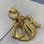 Dior Medium Dior Voyage Bag(HIGH-END GRADE) - Image 6