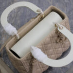 Medium Lady Dior Bag - Image 6